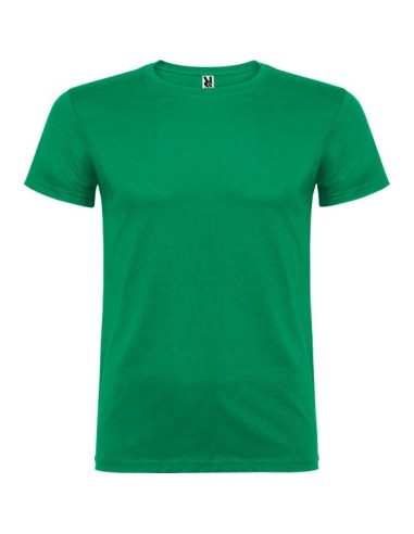 Camiseta COLORES BEAGLE algodon bajo pedido WHATSAPP