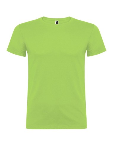 Camiseta COLORES BEAGLE algodon bajo pedido WHATSAPP