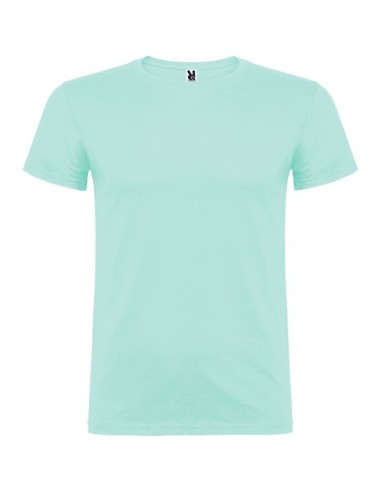 Camiseta COLORES BEAGLE algodon bajo pedido WHATSAPP
