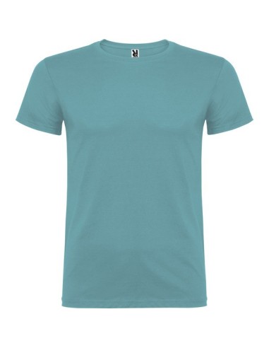 Camiseta COLORES BEAGLE algodon bajo pedido WHATSAPP