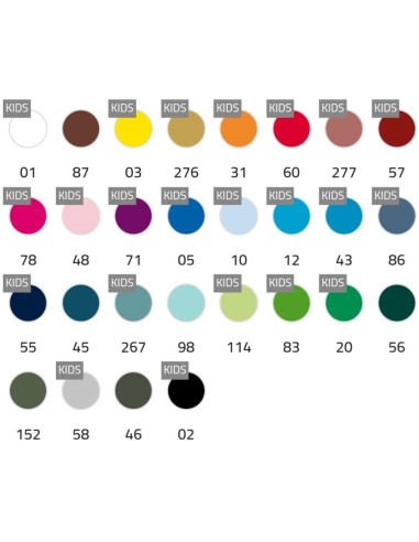 Camiseta COLORES BEAGLE algodon bajo pedido WHATSAPP