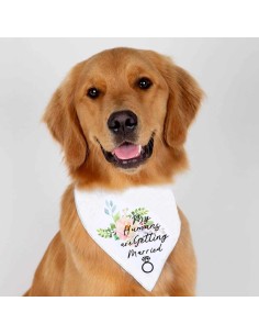 Collar bandana para mascotas sublimable 2