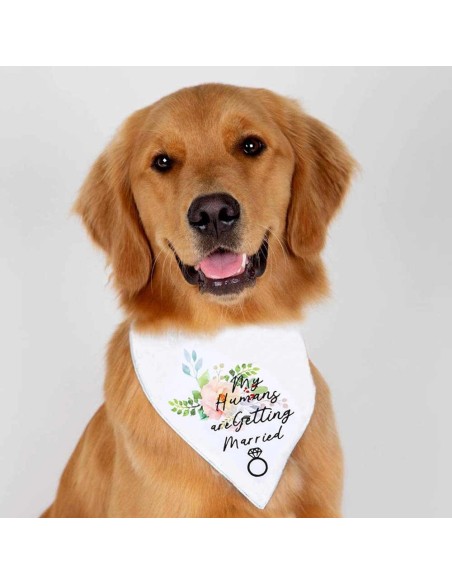 Collar bandana para mascotas sublimable